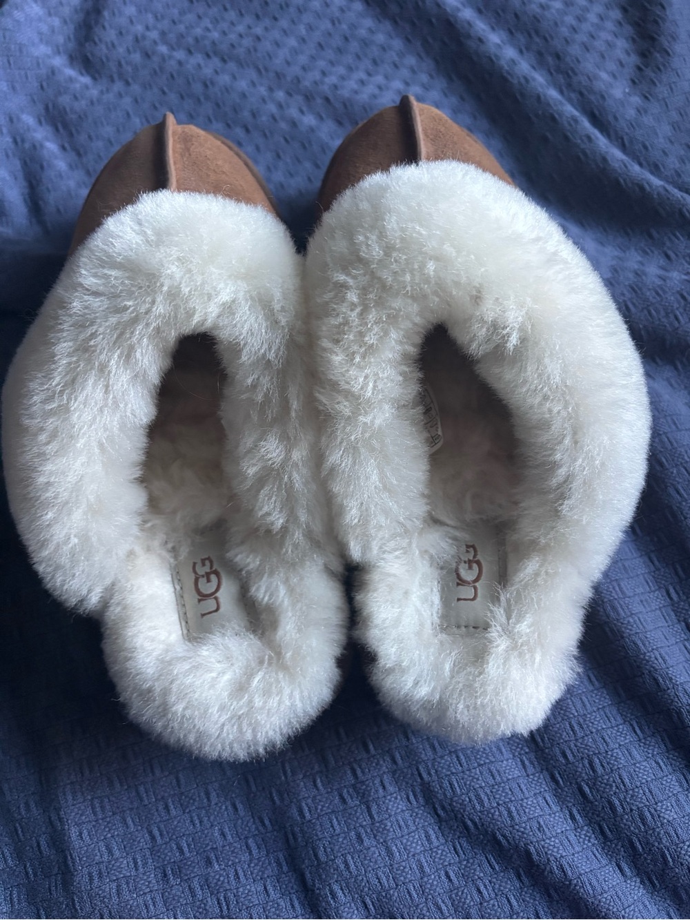 UGG Chestnut Slippers - Picture 4 of 5